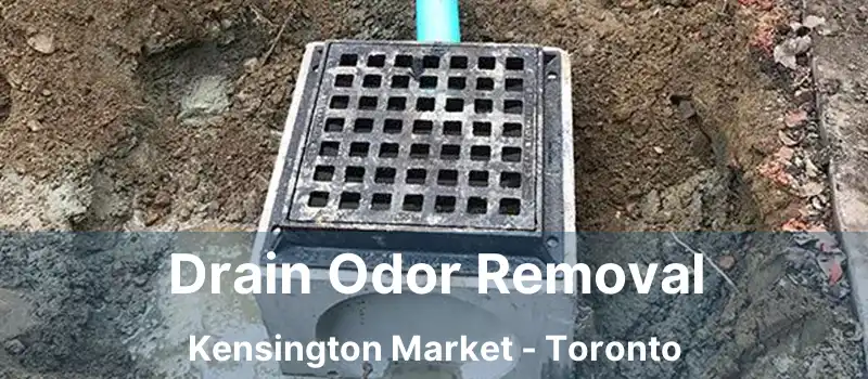 Drain Odor Removal Kensington Market - Toronto