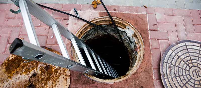 Emergency Sewer Replacement Services in Kensington Market, Toronto
