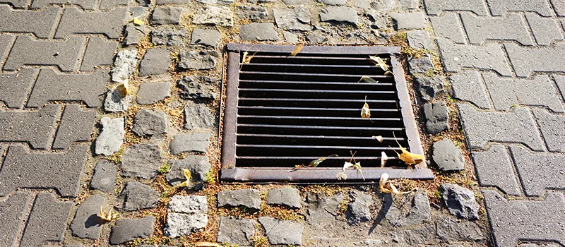 Catch Basin Installation and Maintenance in Kensington Market, Toronto